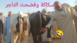 أجمل أسعار للبقر البكاري أول عشر بسوق اسنا