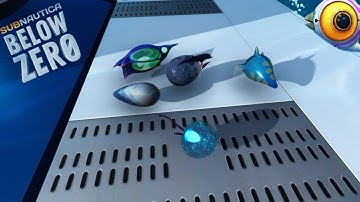 SNEAK PEEK |NEW EGGS!!!!| Subnautica: Below Zero (experimental)Exploring Build 24304