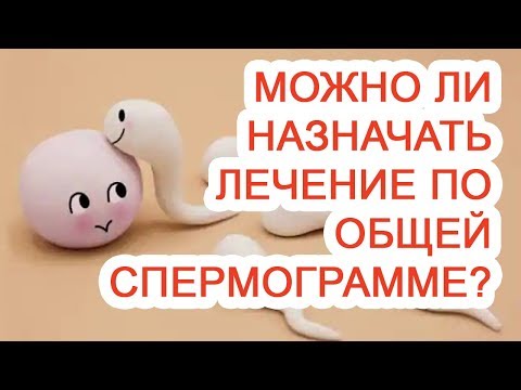 Можно ли назначать лечение по общей спермограмме? / Доктор Черепанов