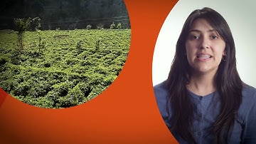 What was the Data Driven Farming Prize?