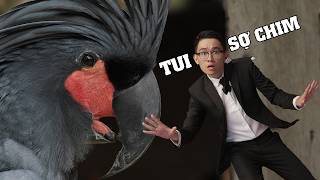 EXTREME FEAR OF BIRDS AT A BIRD PARK IN BALI | CRAVING REPTILES