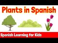 Spanish Plant Names Quiz