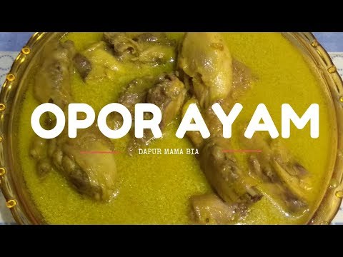 resep-cara-membuat-opor-ayam-enak-masakan-sederhana-#2