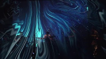 D.A.N. - Aechmea (Live)