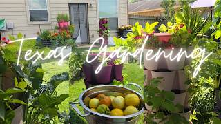 Mini juice prep +Garden to table|| New in The Garden|| Summer is here in Texas!