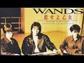 恋せよ乙女  WANDS