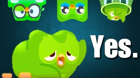 Can You Become Fluent with Duolingo?