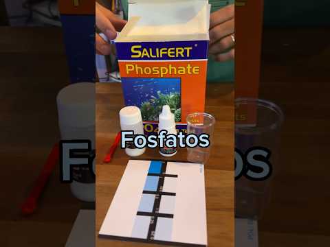 Cómo medir los