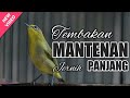 Masteran pleci NEMBAK MANTENAN GUNUNG panjang ( SEJALUR )