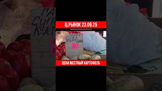 Цена _ Центральный рынок местный картофель #полтава #цена #рынок #овощи #базар #картопля #картофель