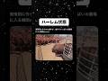 一気に注目集まってて笑う #shorts#tiktok#twitter#おもしろ#お笑い#おすすめ#牛#動物#面白い#おもしろ動画#爆笑#バズれ