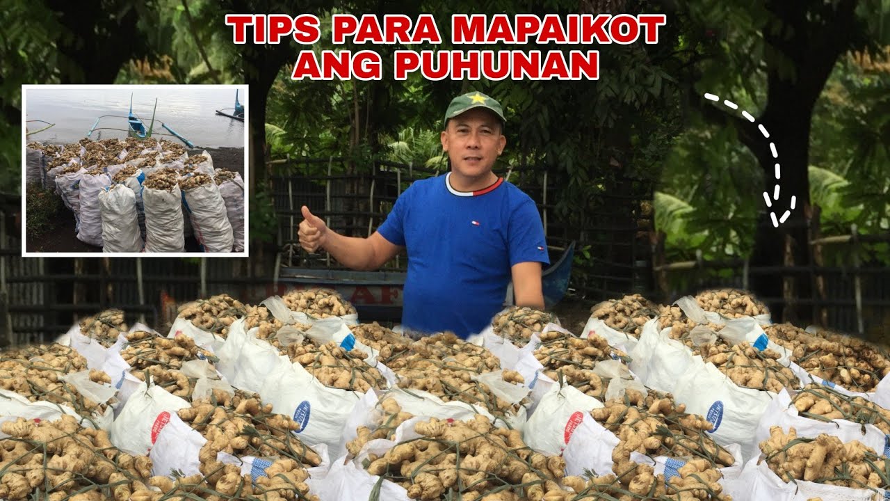 LUYA VOLUME NI BOSS ERIC | Biyaherong Batangueno