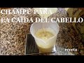 Receta de CHAMPÚ para la CAÍDA DEL PELO / SHAMPOO recipe for HAIR LOSS