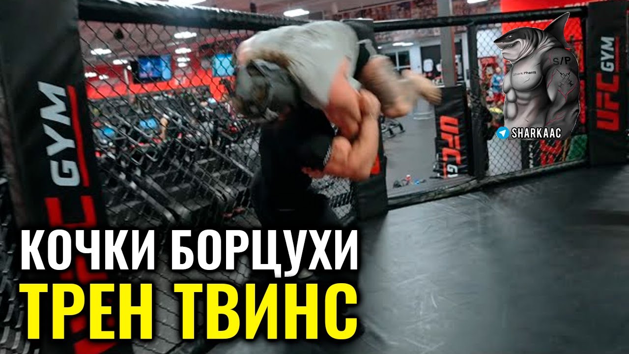 ��������� � ������: ����.