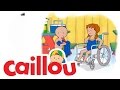 Caillou - Caillou's Water Park  (S03E10) | Cartoon for Kids