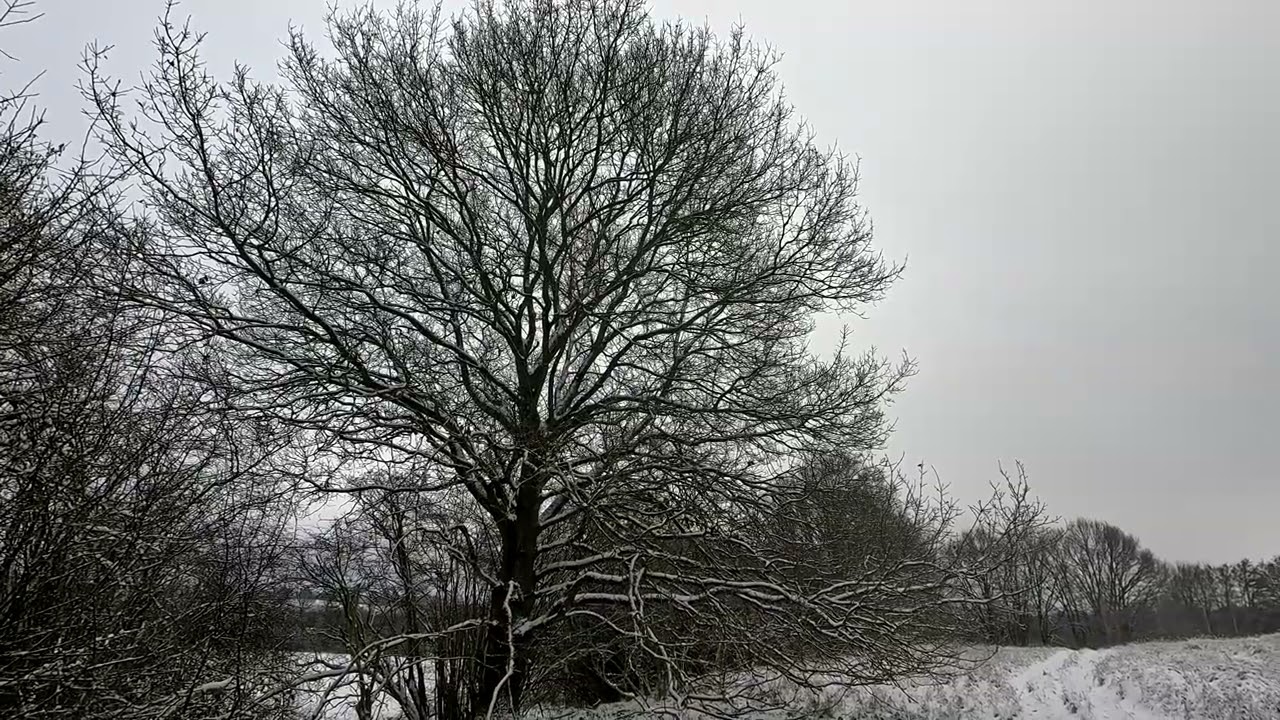 Die letzte Wanderung