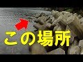 テトラポットという美味しい爆釣ポイントをみすみす見逃していませんか？ちょい投げでガシラやソイ・メバル・アコウ（キジハタ）といった根魚が楽々釣れるのですが、あなたも試してみませんか？