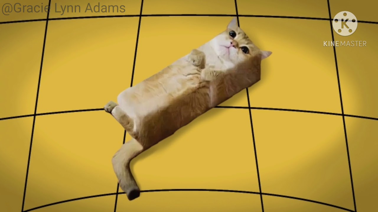 (OLD) Bonsai Cat Theme YouTube