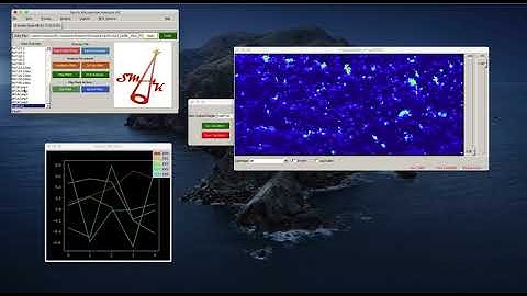 XRF Imaging: Statistical analysis of Imaging data
