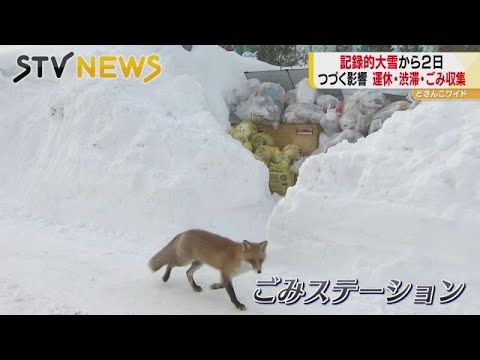 【匿名配送】御山のきつね 入水そと mqdefault.jpg