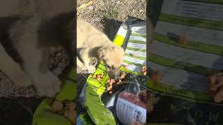 Tek Başına Ç Ayakta Duramıyor