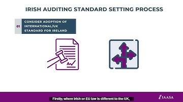 AUDITING STANDARDS EXPLAINER VIDEO