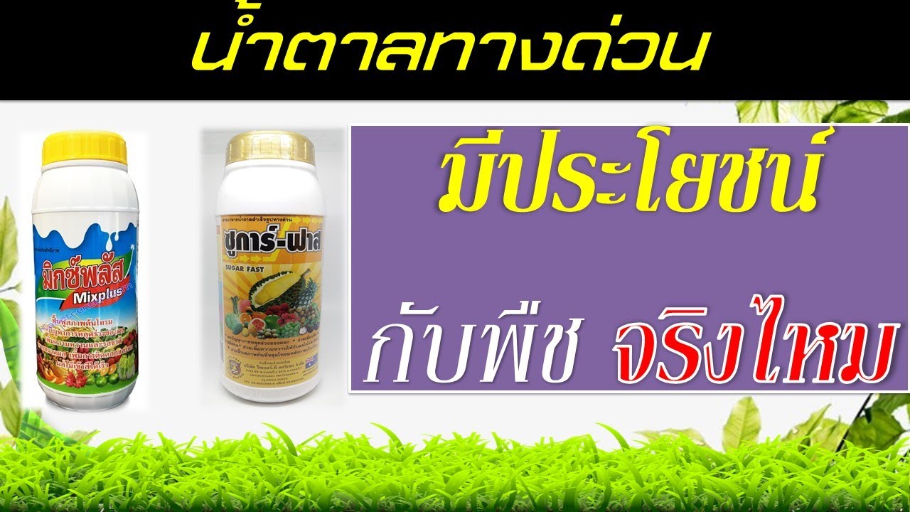 น้ำตาลทางด่วนมีประโยชน์กับพืชจริงไหม? (น้ำตาลทางด่วนๆๆๆๆ) | สรุปเนื้อหาน้ํา ตาล ฟ รุก โต ส ซื้อ ที่ไหนล่าสุด