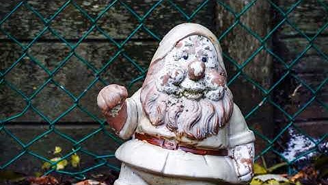 They find there gasa.hoa hoorar story