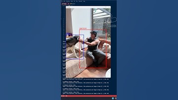 Detección de perros y personas. #python #programming #computervision