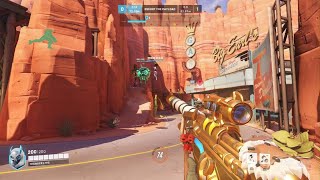 Overwatch 2 Very Dumb Hog