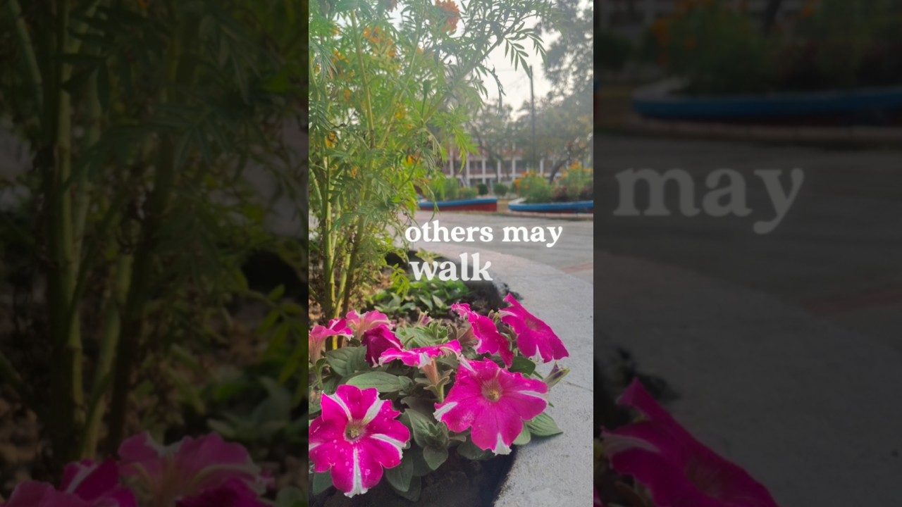 It's your road and yours alone other may walk beside you. 