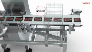 Varpe Control De Peso E Inspección Por Rayo X Para Producciónes A Medida.