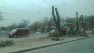 Харьков. вырубка деревьев на Одесской