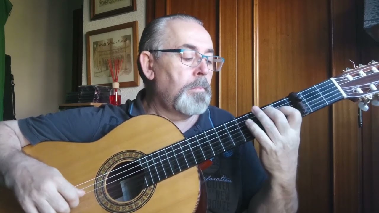 "Paseo de los tristes". Guitarra española. Por Armando Javier López. Granada