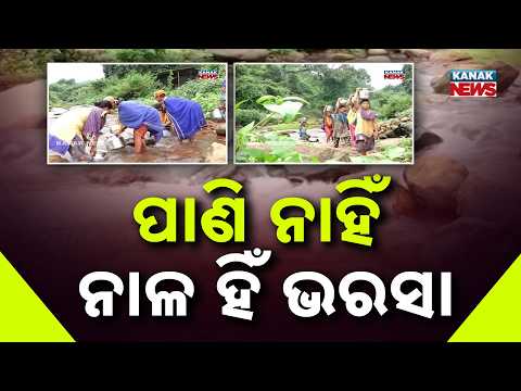 ପାଣି ନାହିଁ ନାଳ ହିଁ ଭରସା Malkangiri Drinking Water Crisis | Tribal Families Depend on Stream Water