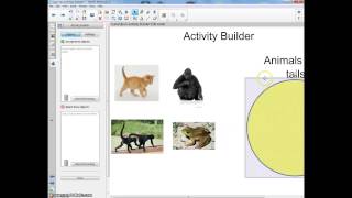 Smart Notebook Activity Builder