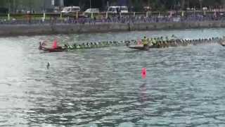 20150607荃灣龍舟競渡 私家大龍邀請賽B組初賽 場次19