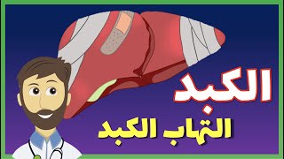 LIVER & Hepatitis ما هو التهاب الكبد؟ وما الذي يسببه؟