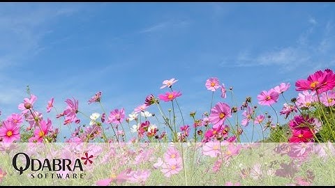 InfoPath 2016 … by Qdabra!!: Qdabra Free Webinar