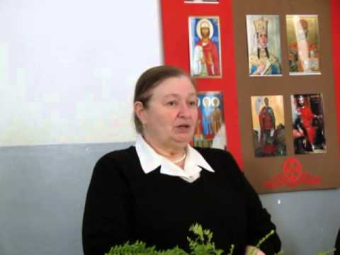 სარიდანის გადაწყვეტილების მოტივები