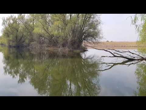 Amazing spring in the Danube Delta- Ciprian Safca- Culori fabuloase primavara in Delta Dunarii