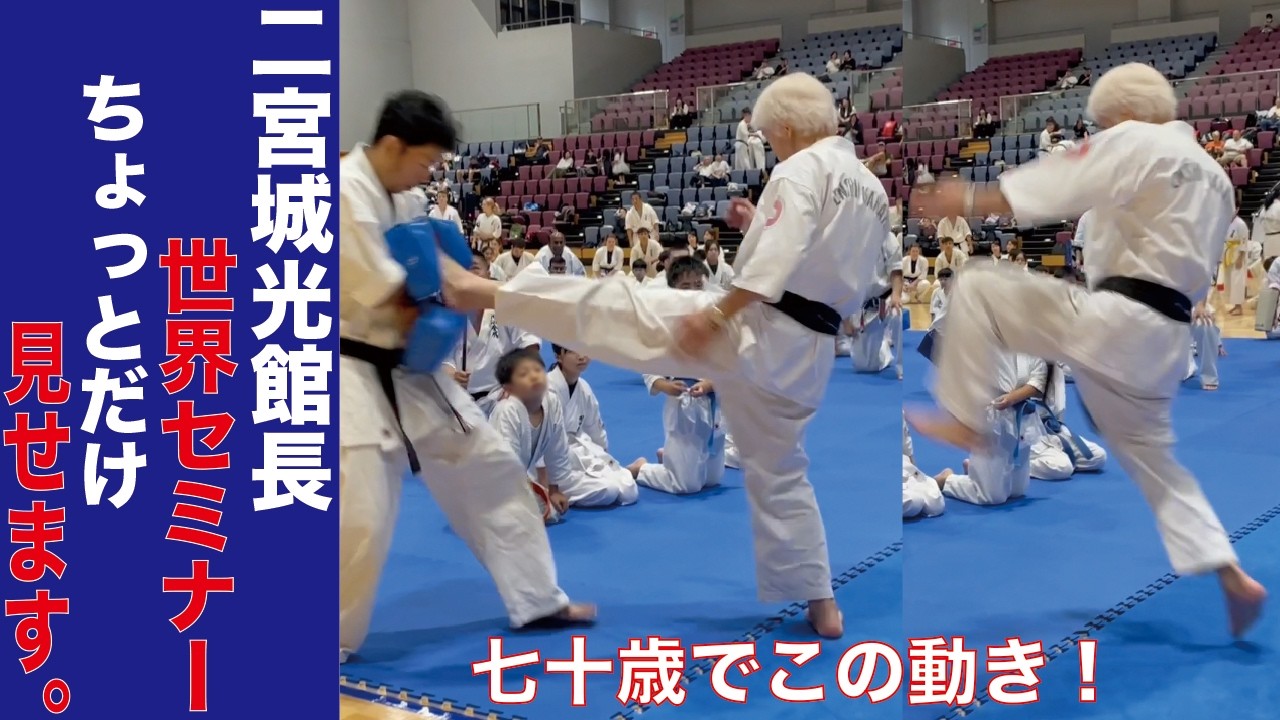 二宮城光館長の世界セミナー　ちょっとだけ見せます。　円心空手 Enshin-Karete
