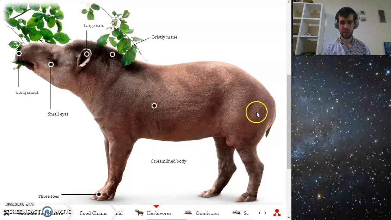 Science Herbivores YouTube