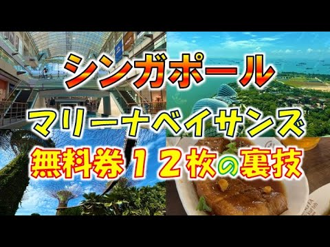 未使用 美品】シンガポール お土産 灰皿 観賞用 マリーナベイサンズ SG