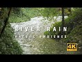 4K River Rain - 3 Hours of flowing water and pouring rain - relaxing woodland nature ambience