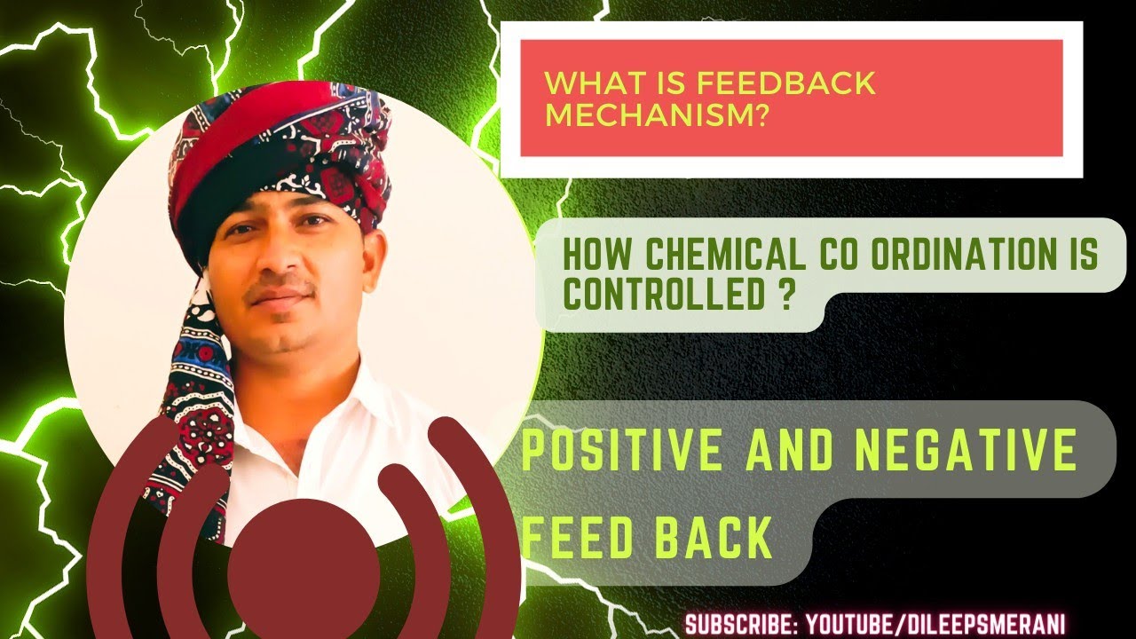 What Is Feedback Mechanism Hormone Feedback Mechanism Control 