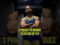 Lose 15-20 kgs of Fat In Four Steps | #gym #fatburningsecrets #fatlosstips #fatloss #food