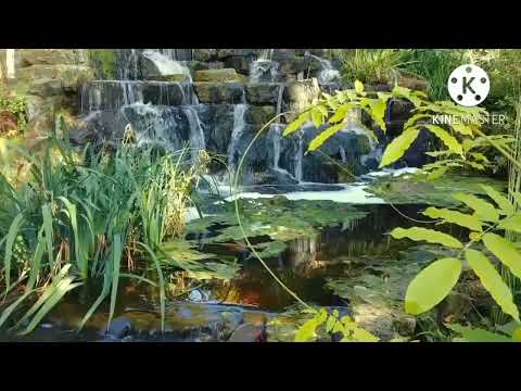 سورة الحجرات بصوت الشيخ ناصر القطامي عام 1424 تلاوة رائعة جدا بجودة عالية 