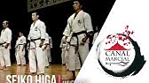 Seiko Higa Sensei Suparinpei Okinawa Goju Ryu Karate - YouTube