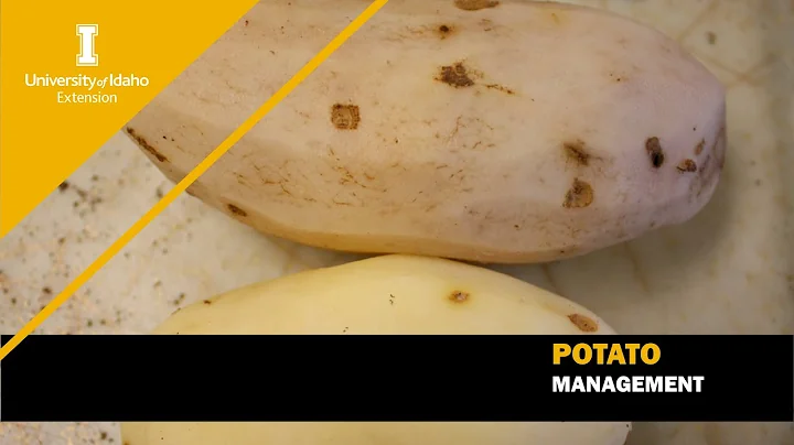 Name that Potato Disease: A review of Potato Disease Symptoms